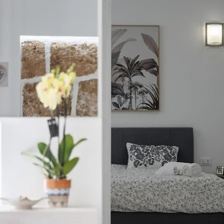 Domus Laureti * アヴォラ